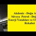 Elazığ Doğal Gaz Yatakları ve Enerji Potansiyeli